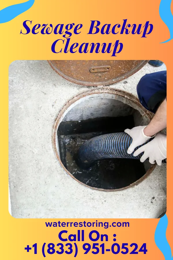 Sewage Backup Cleanup in Elsberry, MO