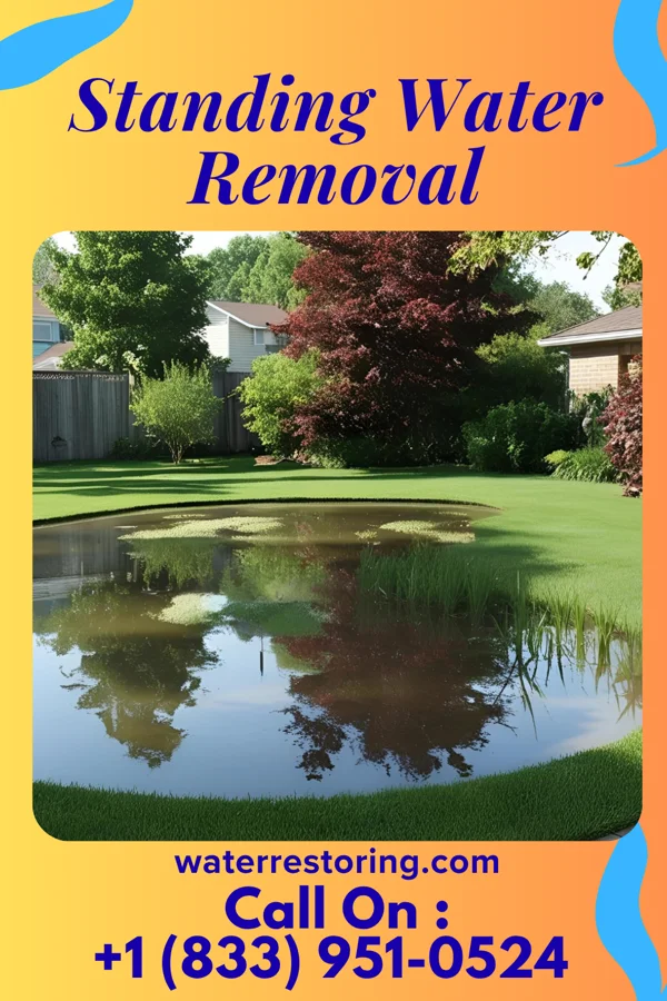 Standing Water Removal in Elsberry, MO
